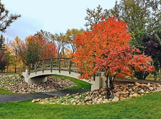 Bridge in Prince�s Island Park during Autumn